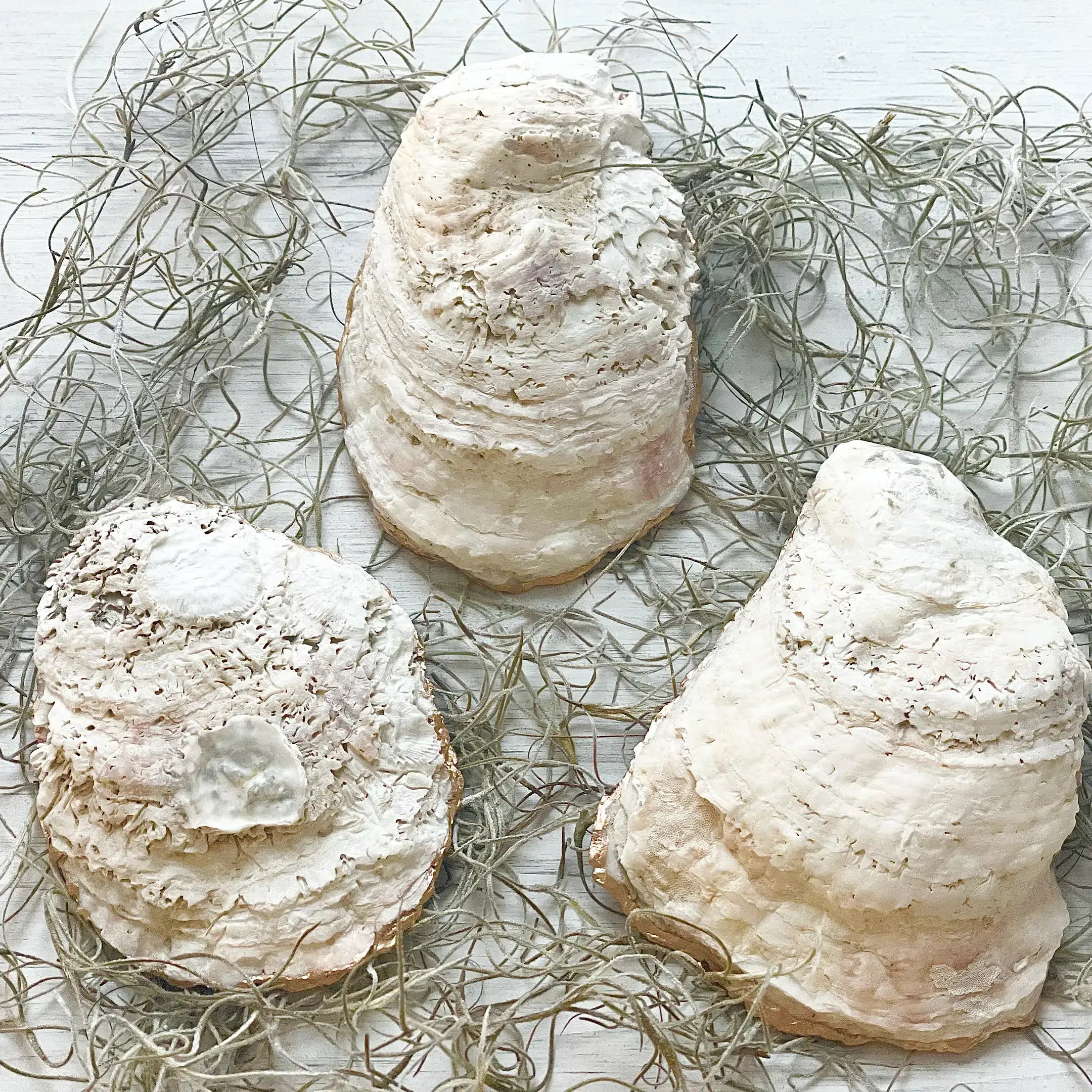 Country Vines Oyster Trinket Dish