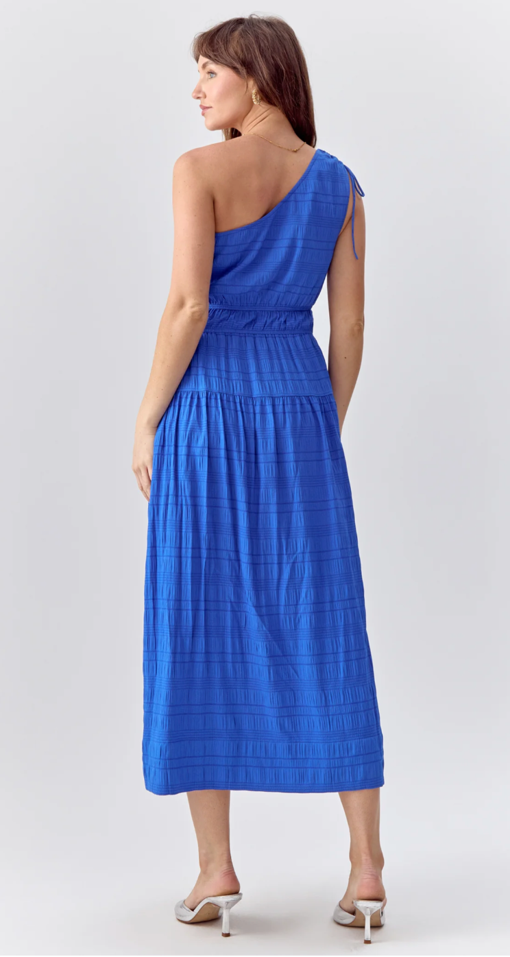 Greylin Whitney One Shoulder Midi Dress