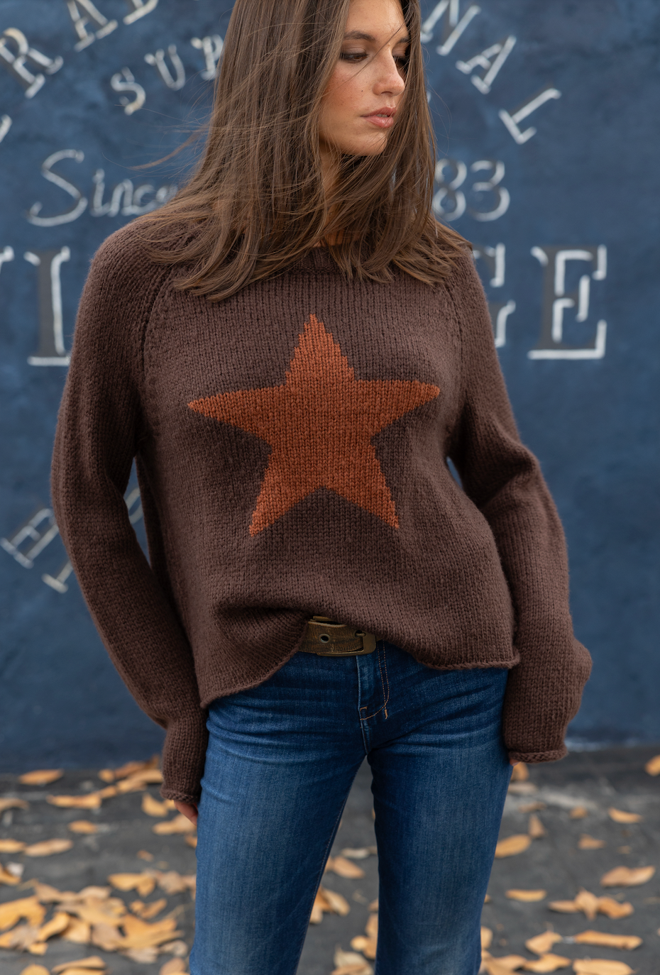 Wooden Ships Star Raglan Crew Chunky Sweater