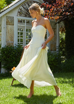Zori Strapless Dress