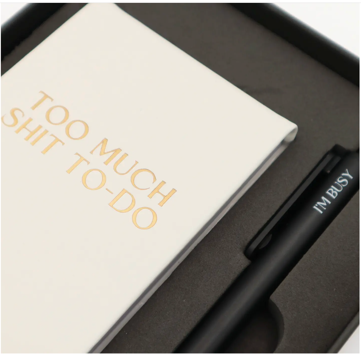 Funny Pocket Journal & Pen Box Set